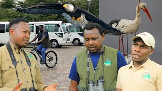 Ibanga rya Matene imisazire ya Kagoma no kwimuka kwinyange Jacana birding tours muri Urban Park [upl. by Pfaff]