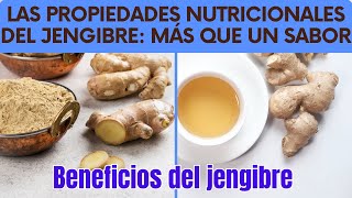 Las Propiedades Nutricionales del Jengibre Más que un Sabor [upl. by Avonasac]