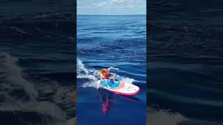 Paddleboards surfing behind our boat [upl. by Saito573]