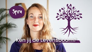 83 Levensboom Betekenis Ken jij dit Tree of Life Symbool [upl. by Inalel]