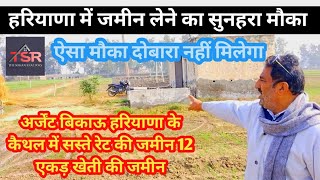 agriculture land for sale in Haryana अर्जेंट बिकाऊ 12 एकड़ खेती की जमीन कैथल [upl. by Orimar]