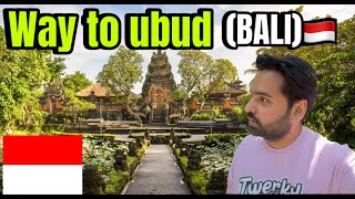 WAY TO UBUD BALI 🇮🇩 INDONESIA  BALI  UBUD  DELHI TO BALI [upl. by Eelana]