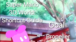 I found one of the greatest shortcuts in Super Mario 3D World World 6  Hands on Hall [upl. by Frodi564]