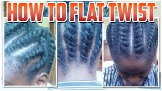 How to Flat Twist Hair at the Front Side and Back of your Head [upl. by Nahtannoj]