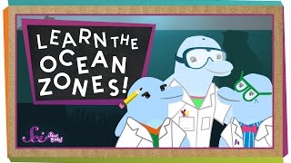 Lets Learn the Ocean Zones [upl. by Lasonde]