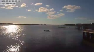 Steinhatchee River Webcam [upl. by Iharas513]