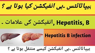 Hepatitis B infection kia hota Hy  Hepatitis B infection ki Aalamaath kia hy  transmission [upl. by Farand466]