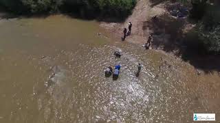 Rio Grande  Buckman Bosque Restoration amp Benthic sampling Aug 27 2019 [upl. by Ateuqram]