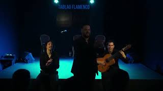 💥 Raúl Ortega 🔥 en Tablao Flamenco Alma Mallorca [upl. by Xet]