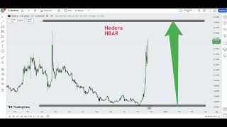 Hedera HBAR Crypto Price Prediction 2024 [upl. by Waly]