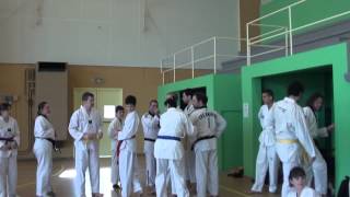 31e Stage de Taekwondo de Normandie [upl. by Nehtan]