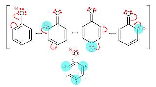 Phenoxide Anion Resonance [upl. by Julianna536]