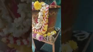 TULASAMMA vivaha pooja🙏 [upl. by Ilil825]