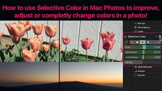 Mac Photos App Tutorial How to use Selective Color to improve adjust or completely change colors [upl. by Bernardina]