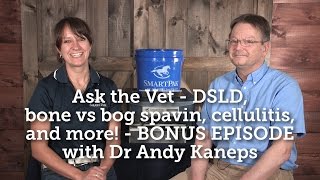 Ask the Vet  DSLD bone vs bog spavin cellulitis and more  BONUS EPISODE with Dr Andy Kaneps [upl. by Retsehc]