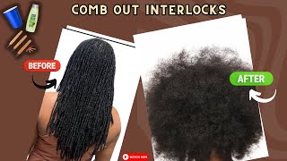 How to Comb out Dreadlocks  Interlocks [upl. by Gernhard]