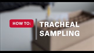 Tracheal Sampling Video [upl. by Obrien842]