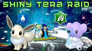 Live Hosting Shiny Eevee and Shiny Cubchoo tera raids shorts shinypokemon [upl. by Cordova738]