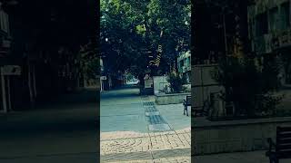 poloview street kashmir❤✈️kashmir shorts poloview araidstraveltrips youtube youtubeshorts [upl. by Pohsib688]