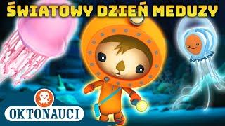 Oktonauci  🌎 Światowy Dzień Meduzy 🎐  Kompilacja  Całe odcinki [upl. by Emmalynn177]