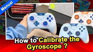 How to Calibrate the Gyroscope of IINE Aurora Controller😜 [upl. by Atinrev]