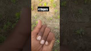 4 fingers crossed 🤞 unfrizemyaccount vairalshort 4fingermontage hinduchant trending [upl. by Edrea]