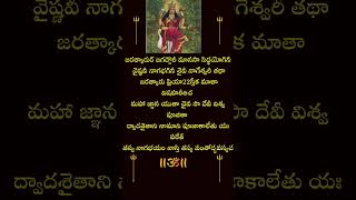 Nagula Chavithi Slokam  Manasa Devi Dwadasa Nama Stotram  Telugu Lyrics in description [upl. by Egan]