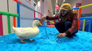 I took my duck to Slime [upl. by Adnouqal]