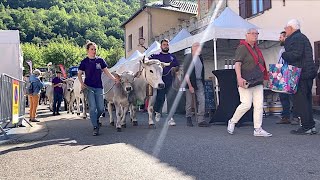 La Grande foire de Tarascon sur Ariège  une tradition ancestrale à ne pas manquer [upl. by Domingo]