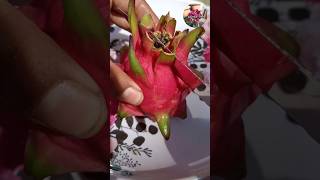 Dargon Plant First Dargon Fruit। Remove Dragon Fruit shorts ytshorts trending gardening [upl. by Danny]