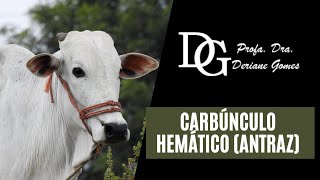 005 Carbúnculo Hemático Antraz  Da Etiologia ao Tratamento [upl. by Aiveneg25]