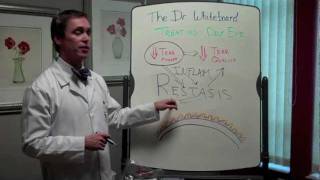 Dr Whiteboard Treating Dry Eye With Restasis [upl. by Esirec264]