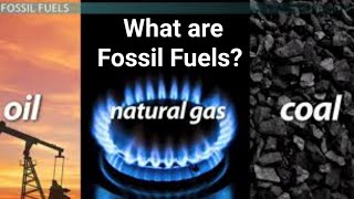 What are Fossil Fuels  I Types Formation and Uses Advantages and Disadvantages of Fossil Fuels [upl. by Daberath]