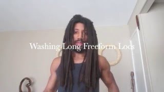 Natural Hair FreeForm Locs Maintenance [upl. by Aeslehc]