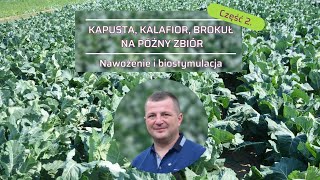 Warzywa kapustne na późny zbiór cz 2 Nawożenie posypowe i dolistne oraz biostymulacja [upl. by Tnerual974]