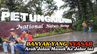 EXPLORE JALUR PETUNGKRIYONO HUTAN HUJAN TROPIS YG MASIH ALAMI DI JATENG  PART 1 [upl. by Namia529]