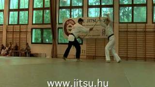 Bo Fight Ju Jitsu [upl. by Ax]