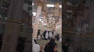 RAWDAH masjidnabawi madinah rawdah raudhah tamansurga rasulullah muhammad mosque umrah fyp [upl. by Josselyn714]