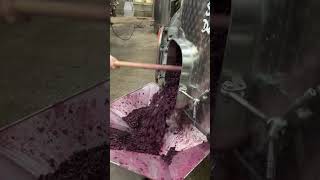 After maceration the grapes are prepared for pressing 🍇😍domainegrivot [upl. by Paulsen]