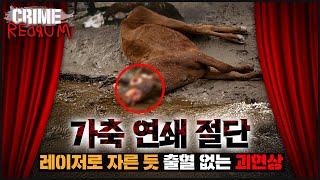 빨간방 레이저로 자른 듯 혈흔 없는 단면 무슨 일이 벌어지고 있나 [upl. by Morse]