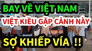 VIỆT KIỀU VỀ NƯỚC GẶP CẢNH NÀY SỢ QUÁ BỎ CHẠY VỀ MỸ GẤP  VIETTV [upl. by Dunston]