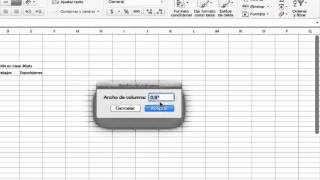 Formato de celdas en Excel [upl. by Nimoynib]