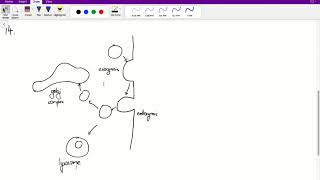 ACER GAMSAT Purple Booklet Worked Solutions  Unit 4 Q1217 [upl. by Acinemod]