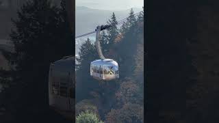 Aerial Tram approaching OHSU [upl. by Tnelc]