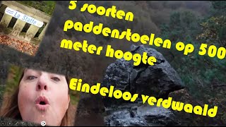 500 Meter Hoog Vijf Soorten Paddenstoelen en Eindeloos Verdwaald [upl. by Notsej]