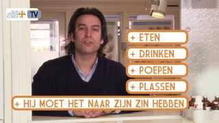 Mijn Dierenkliniek TV  Euthanasie [upl. by Karlene894]