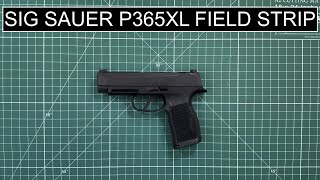 Sig Sauer P365XL Field Strip [upl. by Lynch367]