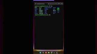 ls command linux [upl. by Eisiam]