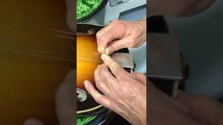 How to remove a mandolin tailpiece cover [upl. by Romeyn105]