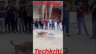 Dog Vs Robot in Techkriti 2024 at IIT Kanpur techkriti iit iitk dog iitkanpur animals robot [upl. by Tade]